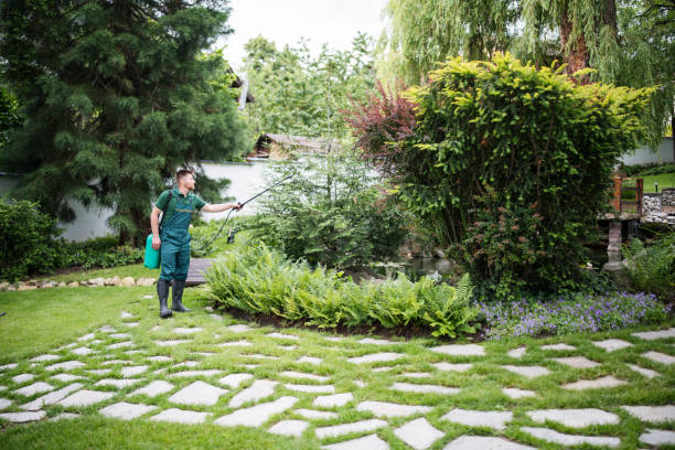 Best Pest Prevention Services  in Tusculum, TN