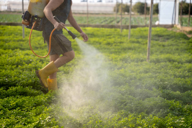 Best Pest Control Near Me  in Tusculum, TN