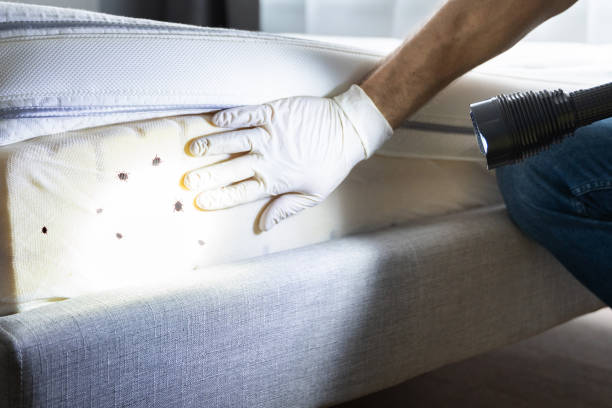 Best Commercial Pest Control Services  in Tusculum, TN