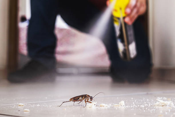 Best Best Pest Control Companies  in Tusculum, TN