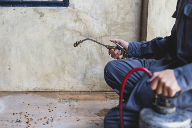 Professional Pest Control in Tusculum, TN